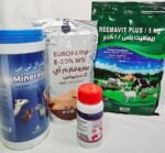 بكج الاقتصادي