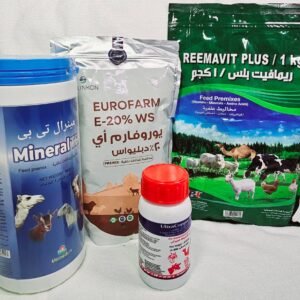 بكج الاقتصادي