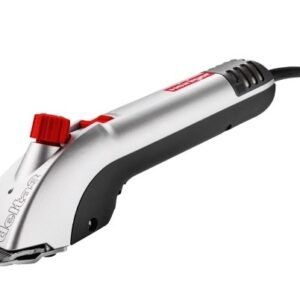 هنجر دلتا السويسرية