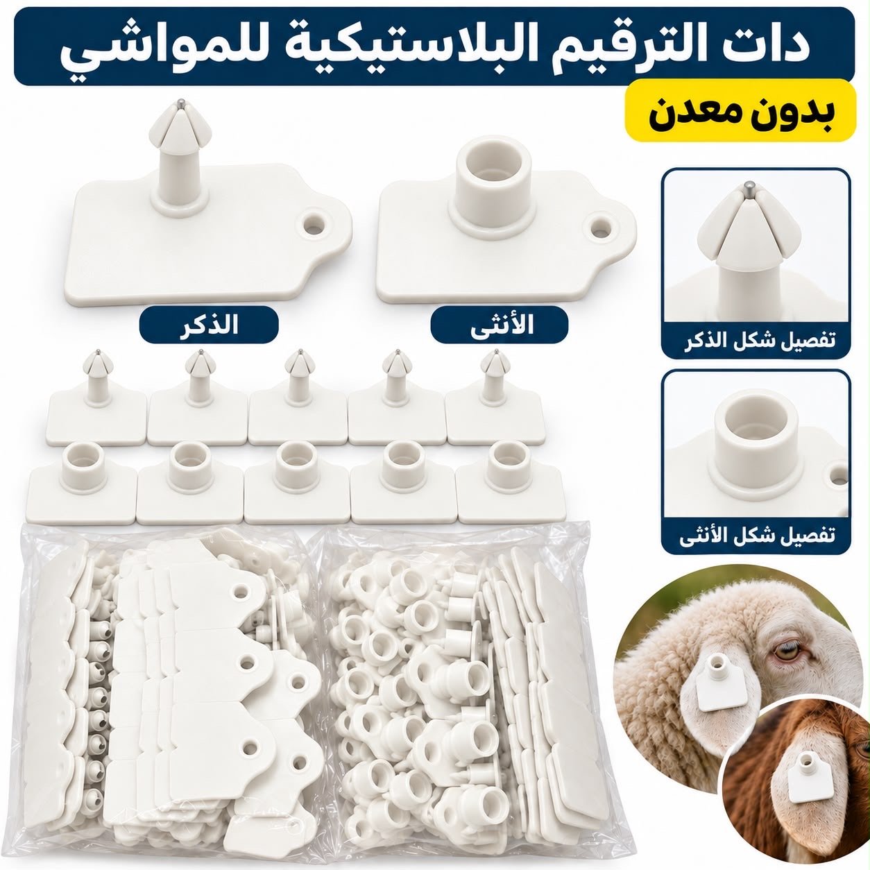 83ebed7e-e71d-42bd-8147-a38dad719cbe