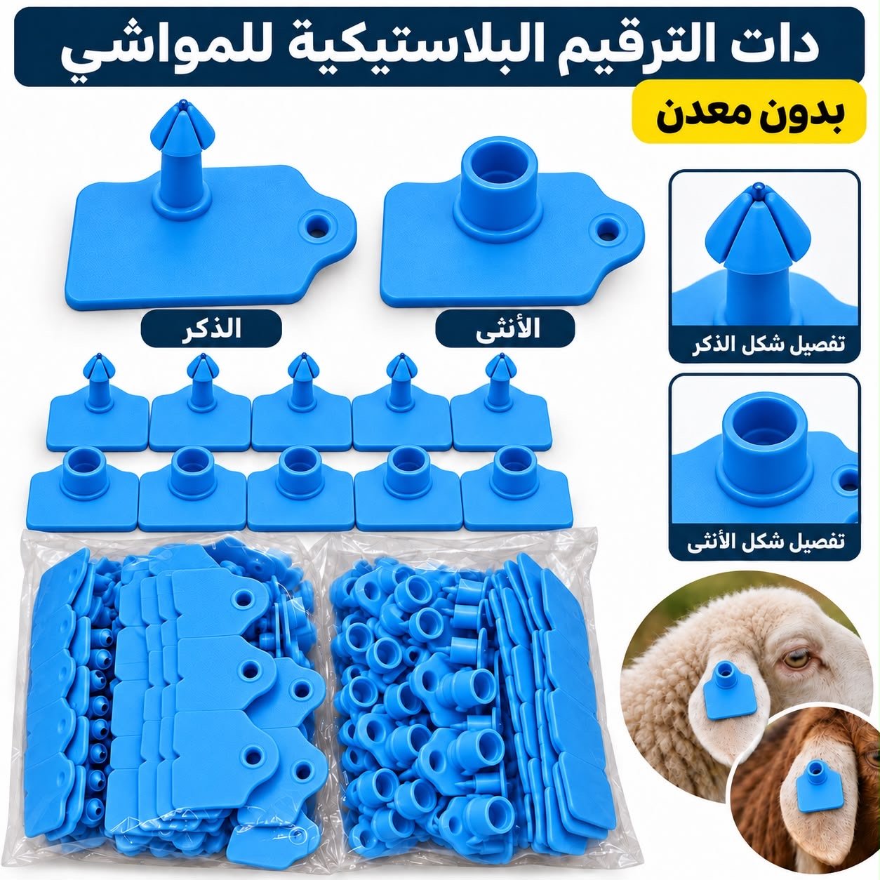 c1b79bc4-db0c-4791-bedb-ee46f37da4b9